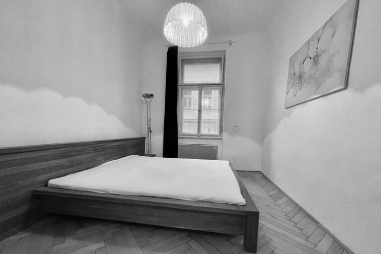 Robert Macho Reality - Pronájem bytu 2+kk, Neklanova, Praha