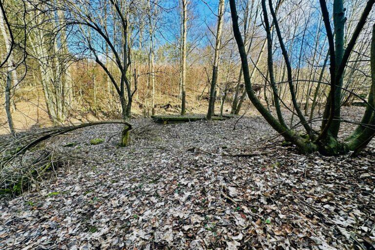 robert-macho-reality-prodej-pozemku-zivohost-19